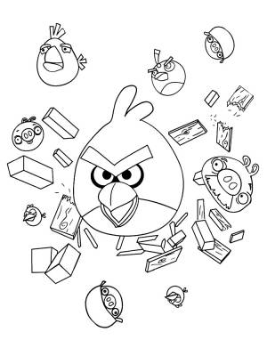 Раскраски для мальчиков и девочек с энгри бердз качай и печатай