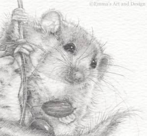 Мышонок пик рисунок карандашом