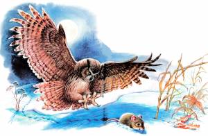 Рассказ Мышонок пик