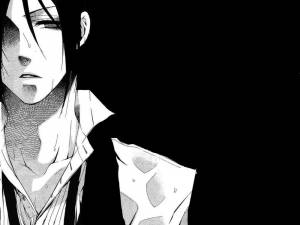 Обои на рабочий стол Sebastian Michaelis