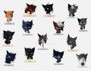 Кот Голден Стэйт Уорриорз Национальное Географическое Животное Джем Рисование, Кот, млекопитающее, животные, кошка png