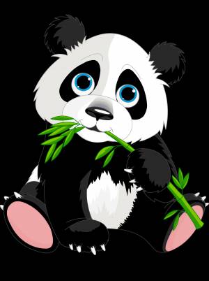 Раскраска Панда