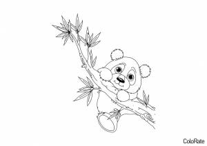 Раскраска Панда забирается на ветку