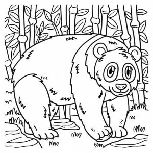Раскраска панда для детей