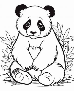 Раскраска панда