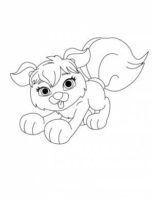 Раскраска № 558