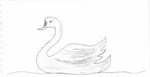 Рисунок дикие лебеди легко