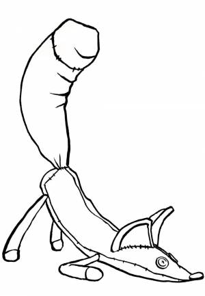 Раскраска Лис