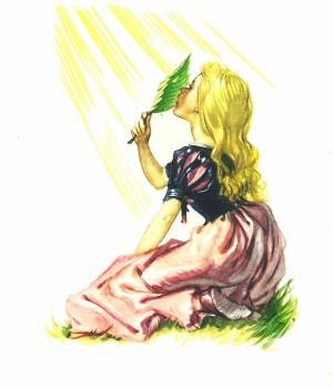 Дикие лебеди