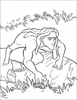 Раскраски тарзан, Раскраска Тарзан