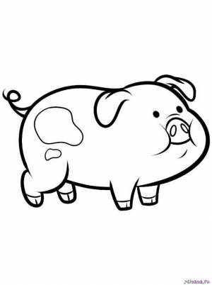 Раскраска Пухля