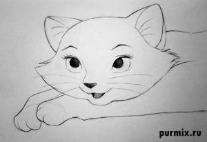 Как нарисовать Герцогиню из мультфильма коты Аристократы