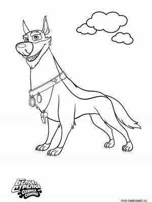 Раскраски Белка и Стрелка