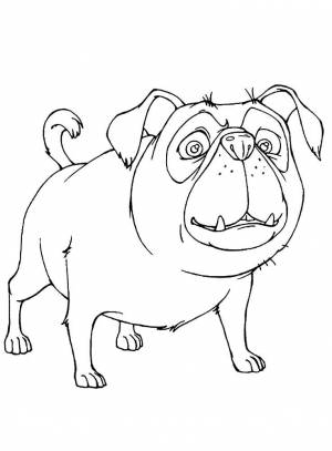 DataLife Engine > Версия для печати > Раскраски с собаками белкой и стрелкой