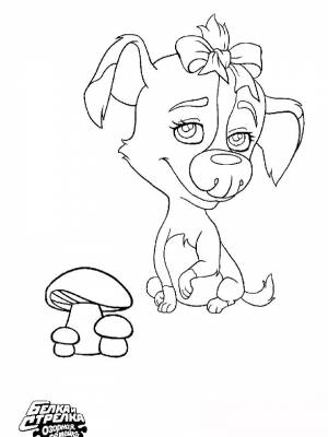 Картинка из мультфильма Белка и Стрелка  раскраску для девочек