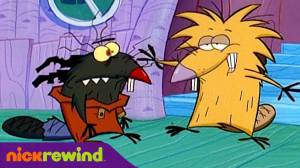 Крутые бобры