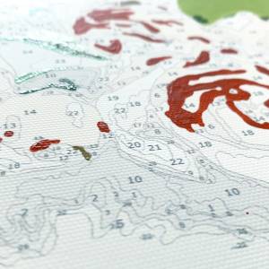 картина по номерам Красиво Красим Крутые Бобры