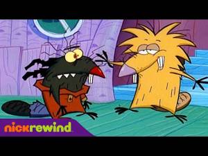 Крутые бобры