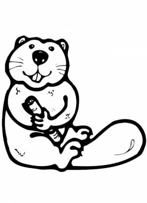 Бобер контурный рисунок