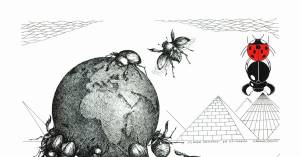 Жизнь насекомых