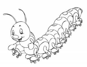 Раскраски Насекомые