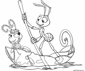 Раскраска Жизнь жука