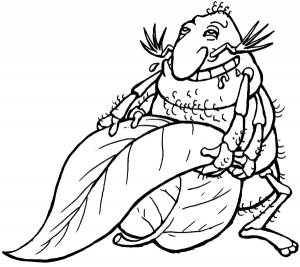 Архивы Знайкаки