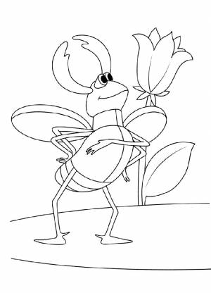 Раскраска Жук