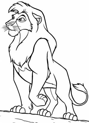Король лев раскраска киара