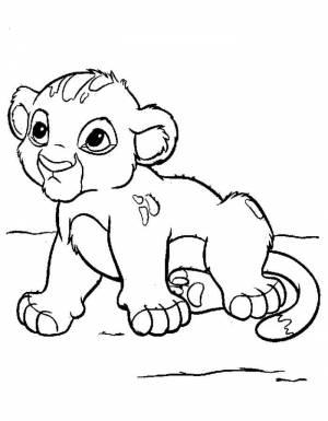 Раскраски Король Лев