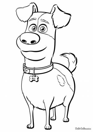 Раскраска Макс из Тайная жизнь домашних животных 2