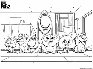 Раскраска Тайная жизнь домашних животных 2