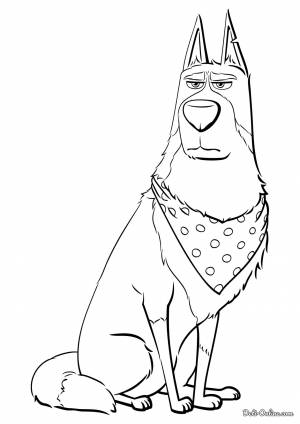 Раскраска Ковбой из Тайная жизнь домашних животных 2