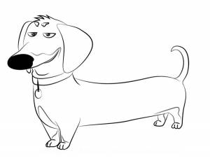 РаскраскаТайная Жизнь Домашних Животных