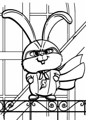 Раскраски тайная жизнь домашних животных