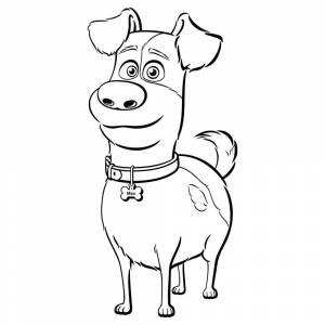 Раскраски тайная жизнь домашних животных