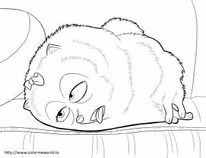 Раскраска Тайная Жизнь Домашних Животных соня Гиджет