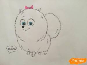 Как нарисовать Гиджет из Тайная жизнь домашних животных карандашом поэтапно
