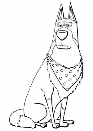 Раскраски Тайная жизнь домашних животных