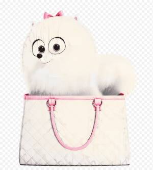 Очки, Гиджет, Тайная жизнь домашних животных, Макс, Анимация, Фильм, Макс и Гиджет, Secret Life Of Pets 2 png