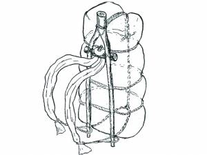 Удивительная черемуха