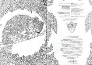 Раскраска неклассическая раскраска, «Книга джунглей» Ranok 292580 ➜ Курьерская доставка по Одессе