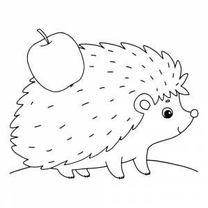 Раскраска Ёжик для малышей