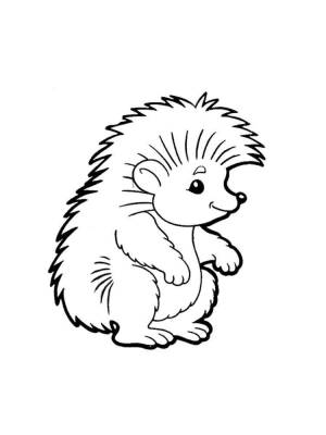 Раскраски Ёжик