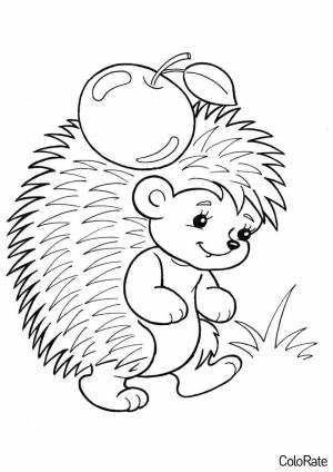 Раскраска Ежик с яблочком