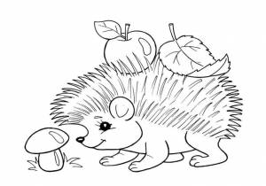 Раскраска ежик для детей