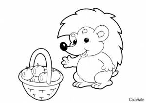 Раскраска Ежик с корзинкой яблок