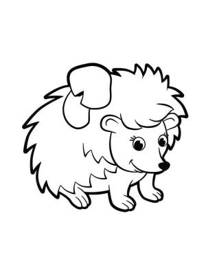 Раскраски Ёжик