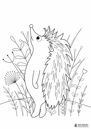 Раскраска ежик   для детей