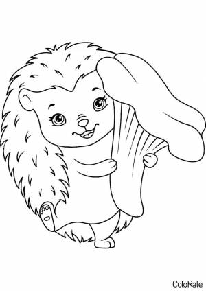 Раскраска Ёжик и лисичка